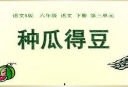 瓜瓜吃瓜ppt 今日吃瓜热门大瓜必看大瓜网红,今日热门大瓜，网红必看盘点